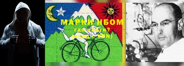винт Абаза