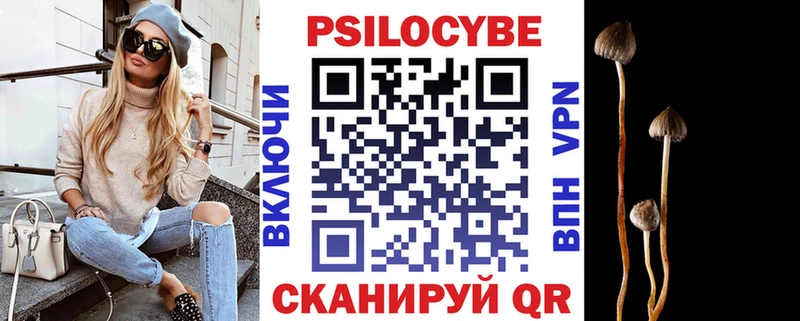 как найти закладки  Солигалич  Псилоцибиновые грибы Cubensis 